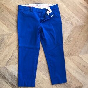 Banana Republic Sloan Fit Blue Chino Pants Size 10P